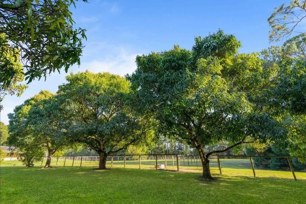 فيلا Bali Ahn Acreage 3 Minutes To Town Pool Aircon Wifi Yandina أستراليا
