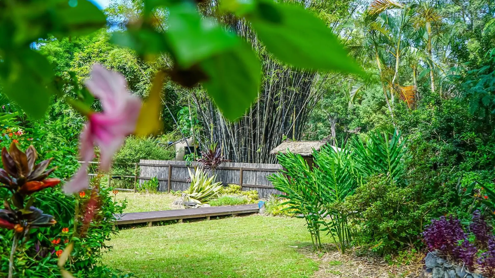 بيت للعطل فيلا Bali Ahn Acreage 3 Minutes To Town Pool Aircon Wifi Yandina